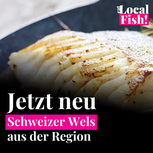 Wir sagen Pangasius den Kampf an mit unseren neuen Produkten!!
