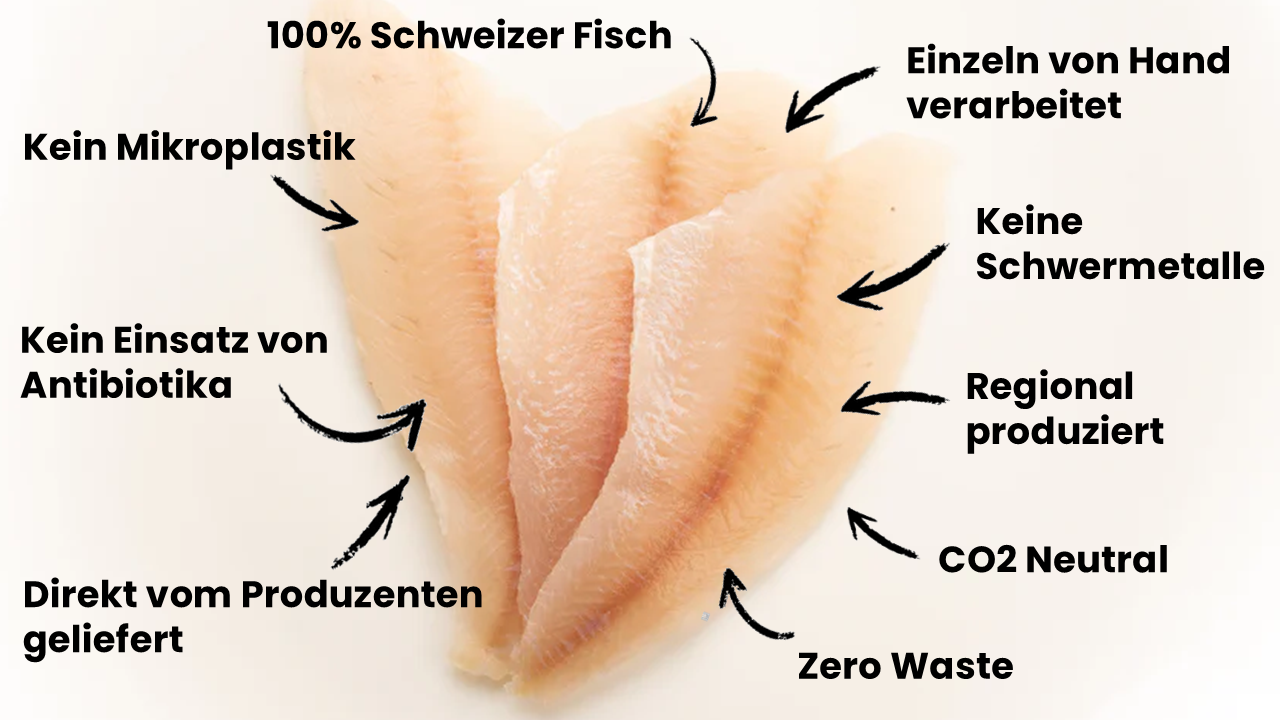 Schweizer Egli Filet ohne Haut