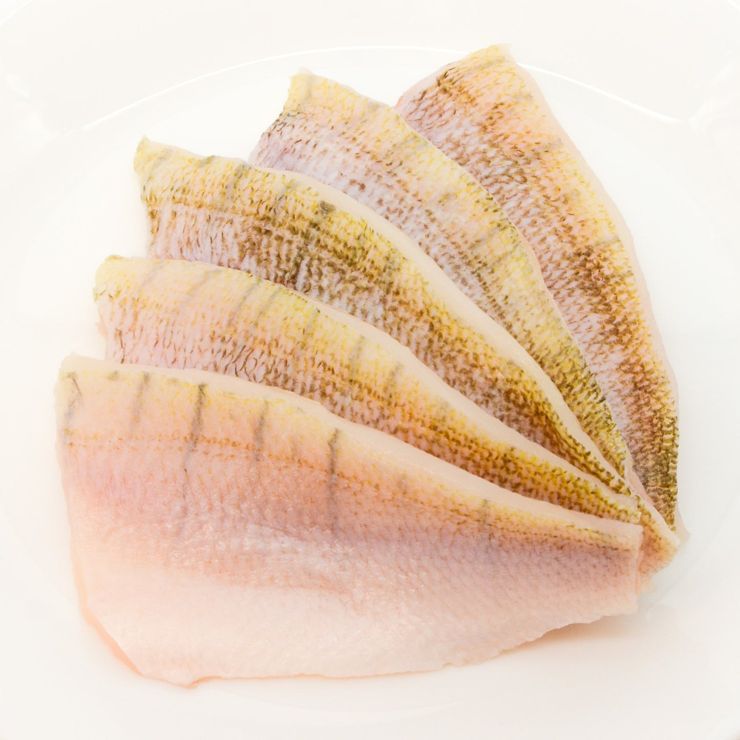 Egli Filet Fisch kaufen Gesunder Fisch Zander Filet Lokal Nachhaltig Kein Mikroplastik Kein Antibiotika LocalFish Schweiz
