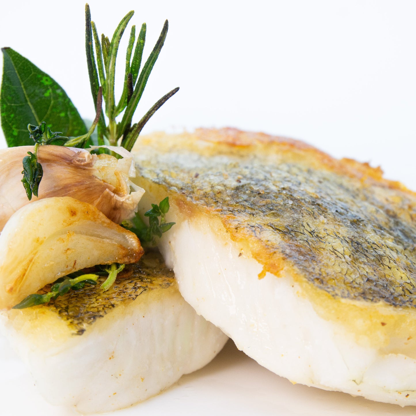 Schweizer Zander Filet Fisch kaufen Gesunder Fisch Zander Filet Lokal Nachhaltig Kein Mikroplastik Kein Antibiotika LocalFish Schweiz