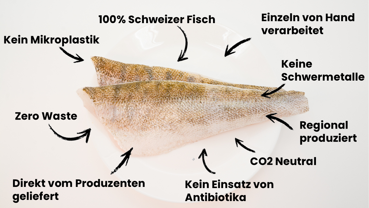 Schweizer Zander Filet mit Haut