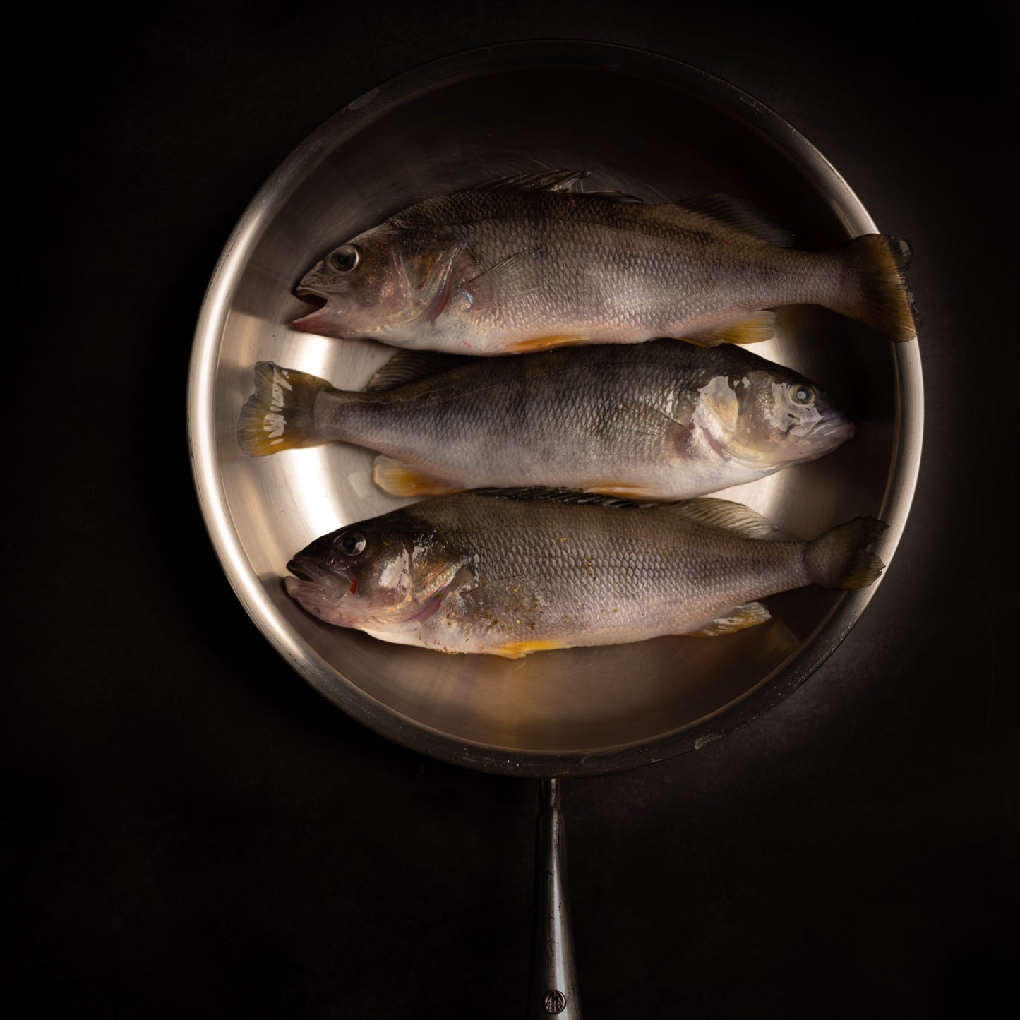 Schweizer Egli Filet Fisch kaufen Gesunder Fisch Egli Filet Lokal Nachhaltig Kein Mikroplastik Kein Antibiotika LocalFish Schweiz Gourmet Delikatess Fisch ganzer Fisch