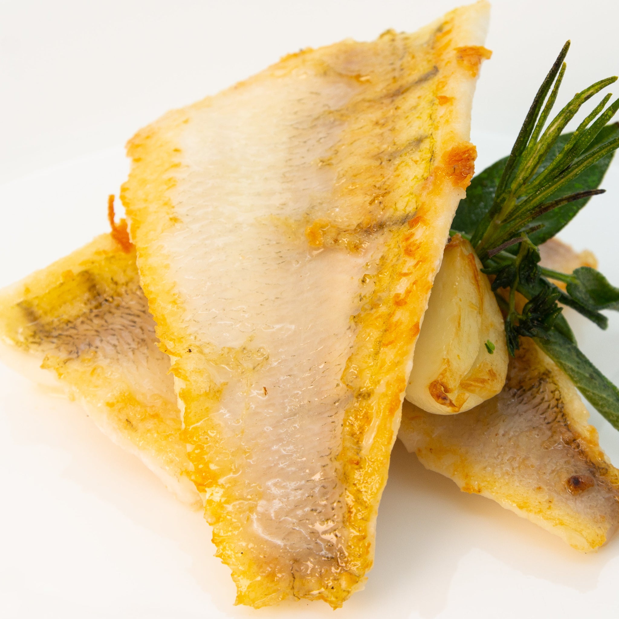 Dein erster Fang! Die Local Fish Starterbox