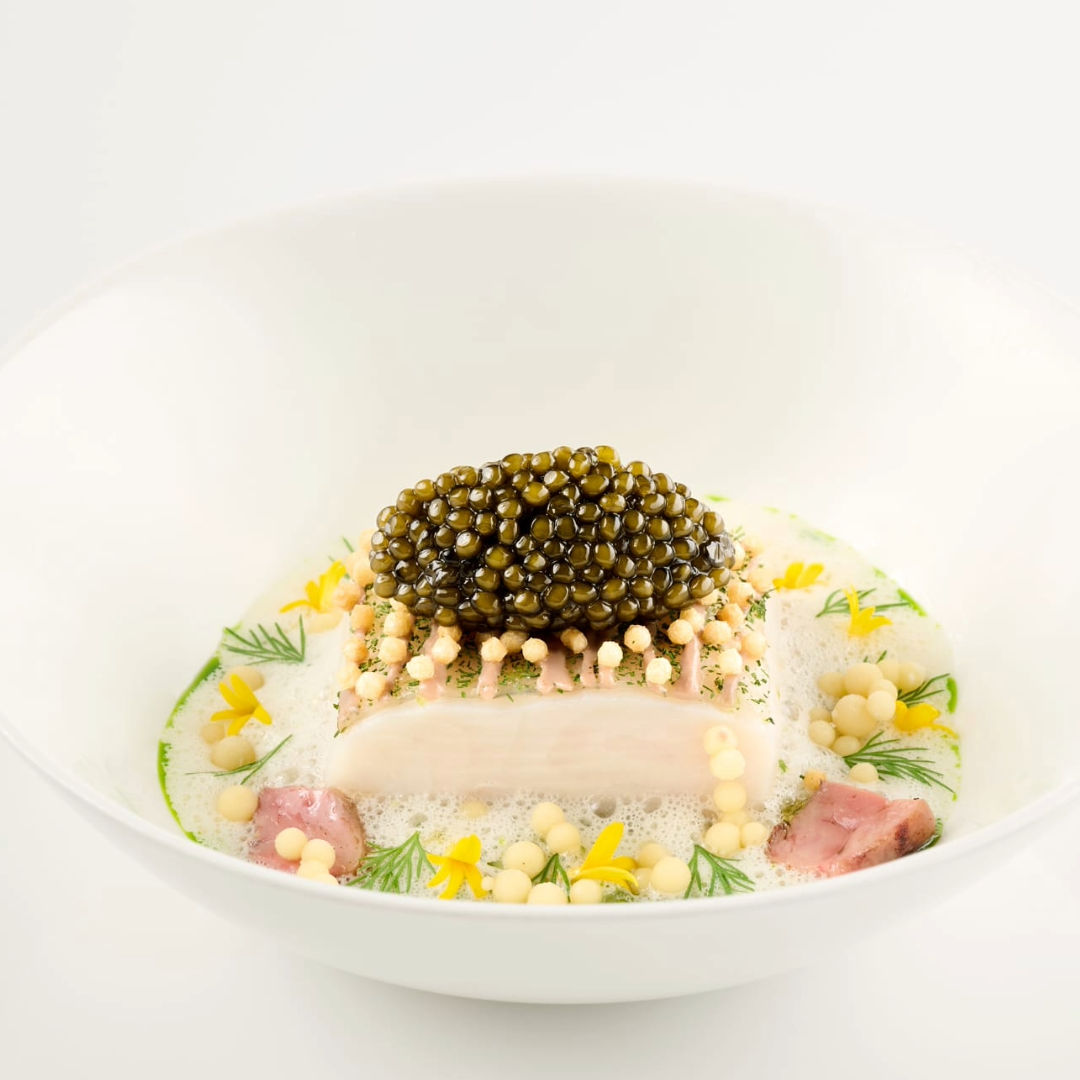 Edel Wels Filet Heiko Nieder Dolder Grand Nachhaltiger Wels Gesund Premium Fisch 