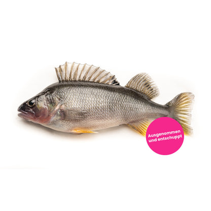 Schweizer Egli Filet Fisch kaufen Gesunder Fisch Egli Filet Lokal Nachhaltig Kein Mikroplastik Kein Antibiotika LocalFish Schweiz Gourmet Delikatess Fisch ganzer Fisch 