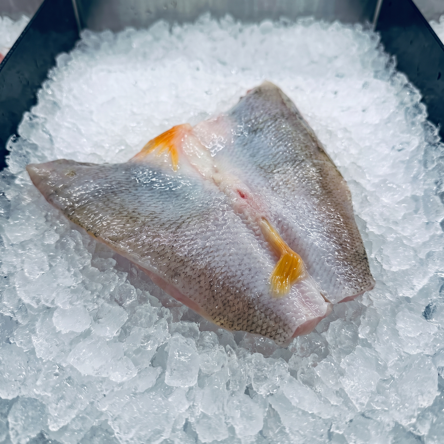 Eli Butterfly Filet Nachhaltig Grill Egli Fisch Filet Butterfly Cut 