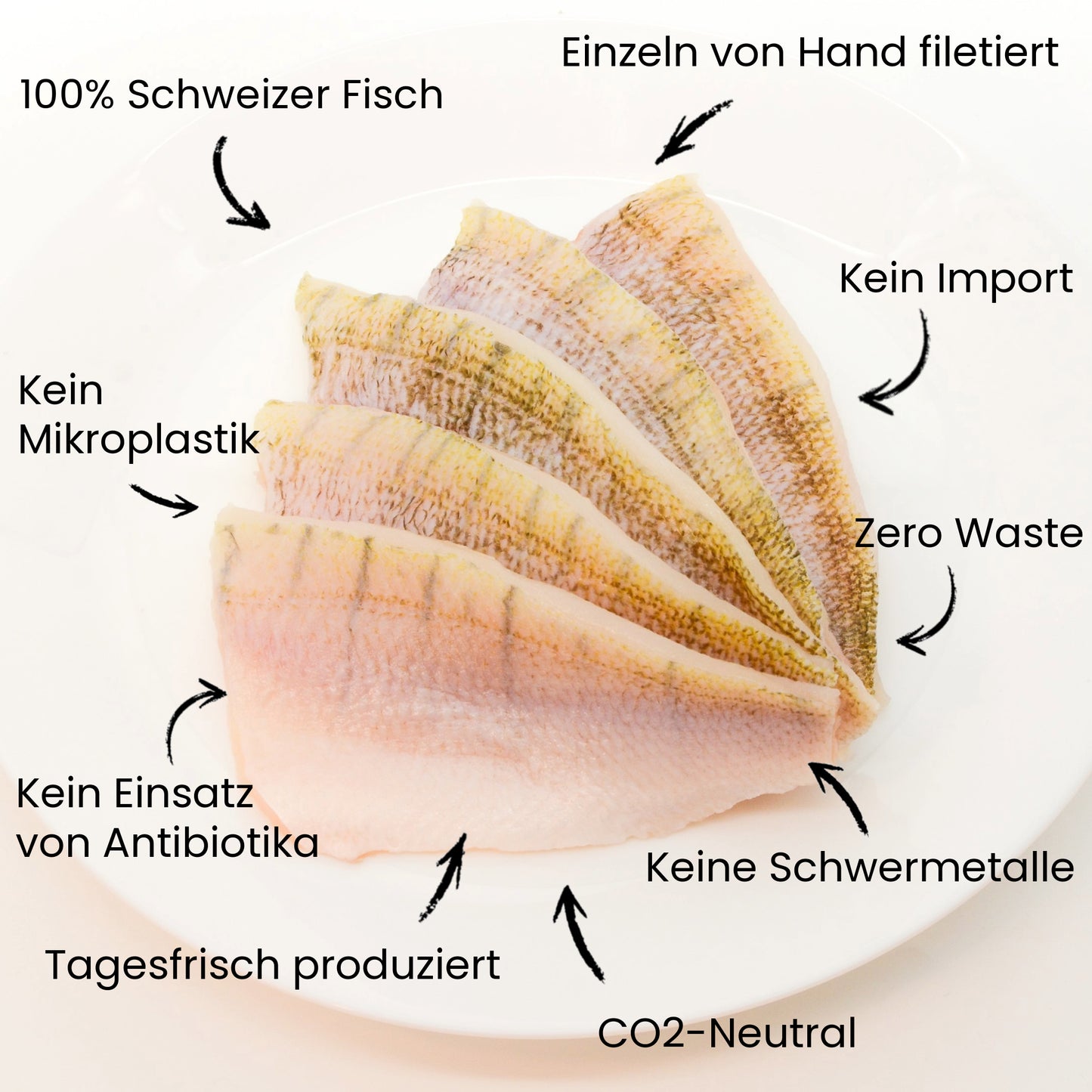 Schweizer Egli Filet mit Haut Nachhaltig Lokal Regional Gesund Schweiz Kein Mikroplastik Kein Antibiotika Co2 Neutral Zero Waste 