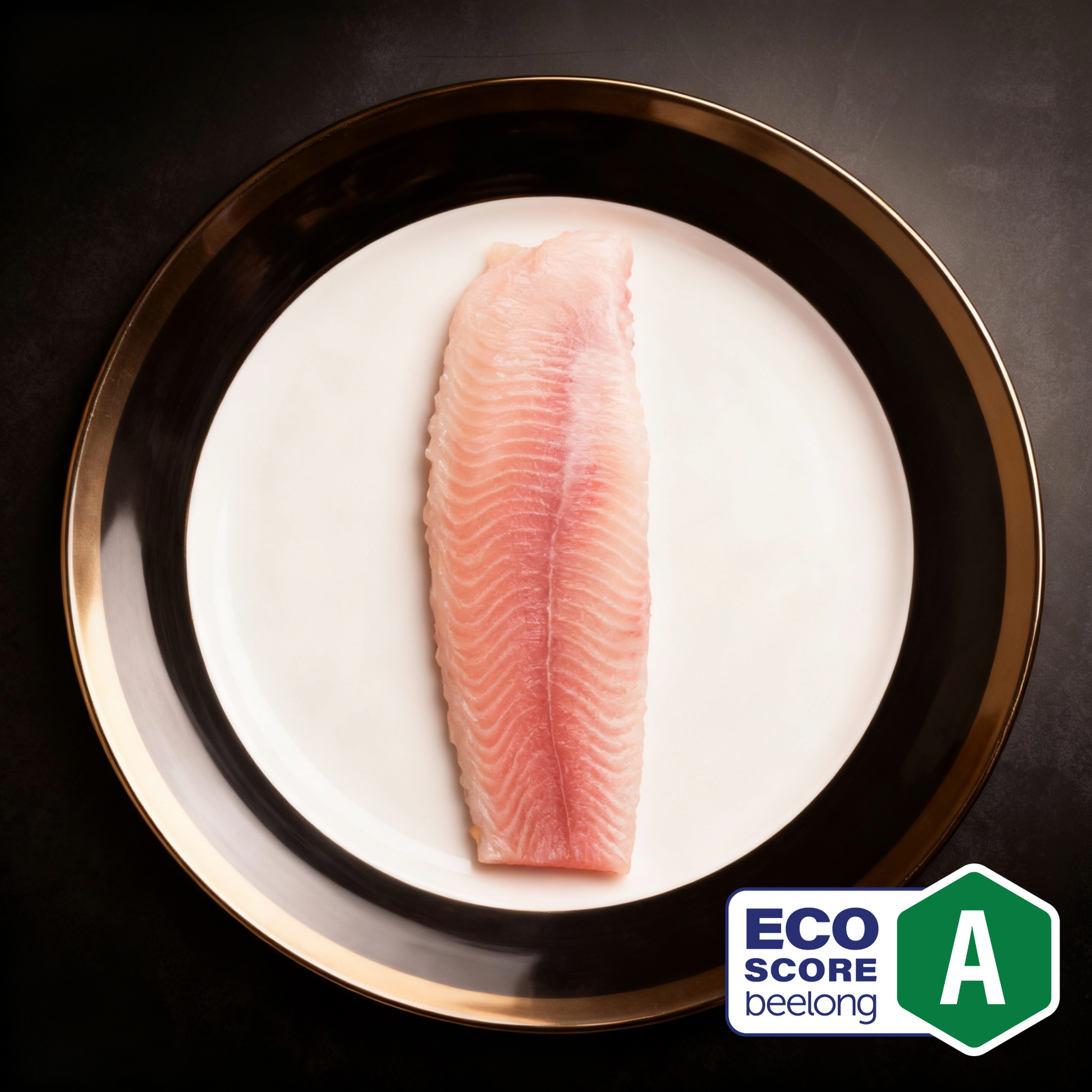 Royal Cut Filet Edel Wels Premium Wels Fisch Nachhaltig Gesund Lokal 