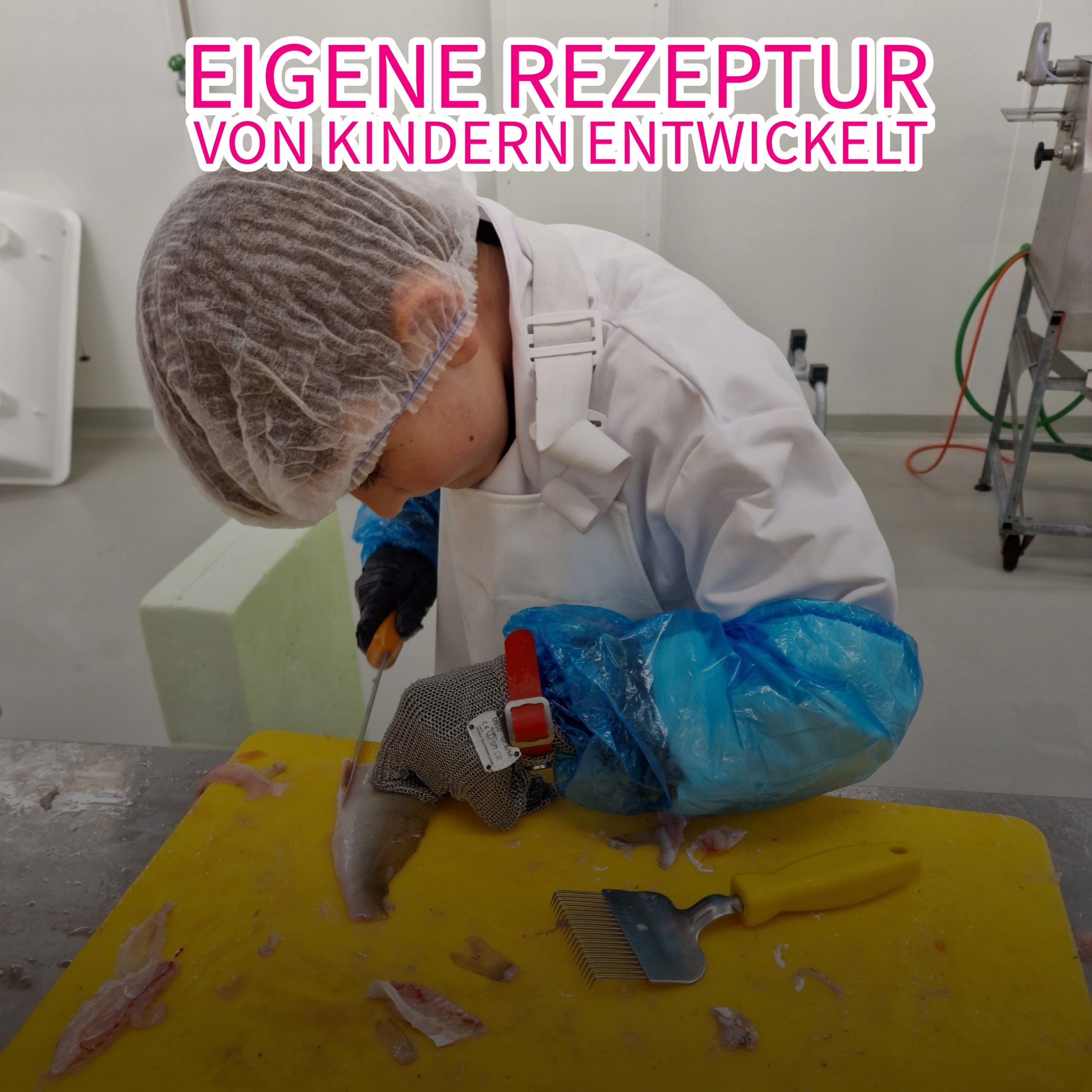 Collins Knusperli, Lokale Knsuperli, Kinder Knsuperli, Nachhaltig Gesund Lokal Gesunder Fisch Schweizer Egli Schweizer Egli Schweizer Knusperli EcoScore A Eigene Rezeptur